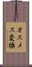 オスメス変換 Scroll