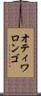 オティワロンゴ Scroll