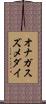 オナガスズメダイ Scroll