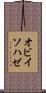 オビイソハゼ Scroll