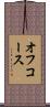 オフ・コース Scroll