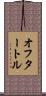 オフタートル Scroll