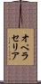 オペラセリア Scroll