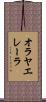 オラヤエレーラ Scroll