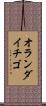 オランダイチゴ Scroll