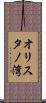 オリスタノ湾 Scroll