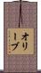オリーブ Scroll