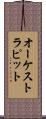 オーケストラ・ピット Scroll