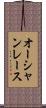 オーシャンレース Scroll