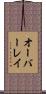 オーバーレイ Scroll