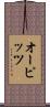 オーピッツ Scroll