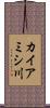 カイアミシ川 Scroll