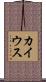 カイウス Scroll