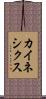 カイネシクス Scroll