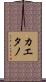 Caetano Scroll