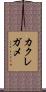 カクレガメ Scroll