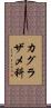 カグラザメ科 Scroll