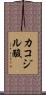 カコジル酸 Scroll