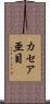 カセア亜目 Scroll