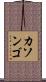 カソンゴ Scroll