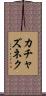 カチャズネク Scroll
