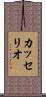 カッセリオ Scroll
