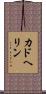カドヘリン Scroll