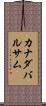 カナダバルサム Scroll