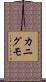カニグモ Scroll