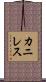 カニレス Scroll