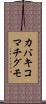 カバキコマチグモ Scroll