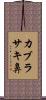カブラサキ鼻 Scroll