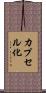 カプセル化 Scroll