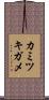 カミツキガメ Scroll