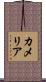 Kamelia Scroll