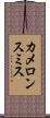 カメロンスミス Scroll