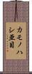 カモノハシ亜目 Scroll