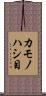 カモノハシ目 Scroll