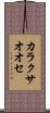 カラクサオオセ Scroll