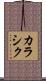 カラシク Scroll
