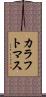 カラフトマス Scroll
