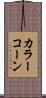 カラー・コーン Scroll