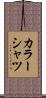 カラーシャツ Scroll