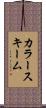 カラースキーム Scroll