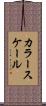 カラー・スケール Scroll