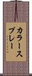 カラースプレー Scroll