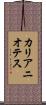カリアニオテス Scroll