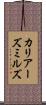 カリアーズミルズ Scroll