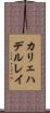 カリェハデルレイ Scroll