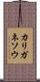 カリガネソウ Scroll